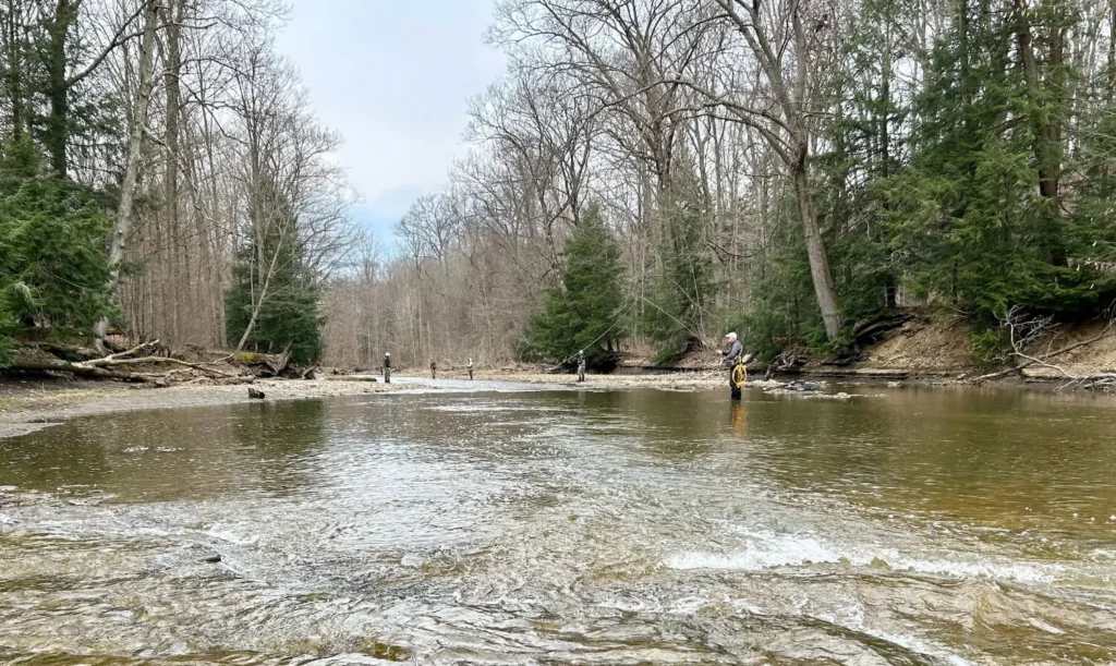 Ohio steelhead river